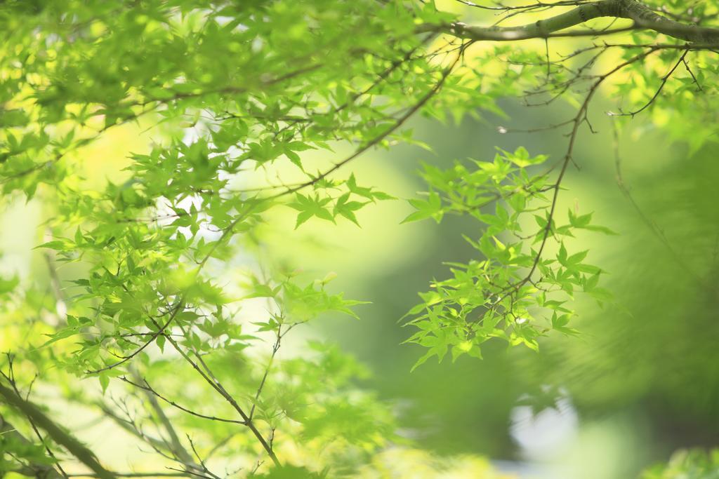 Oushuku Onsen Choeikan Shizukuishi Екстериор снимка